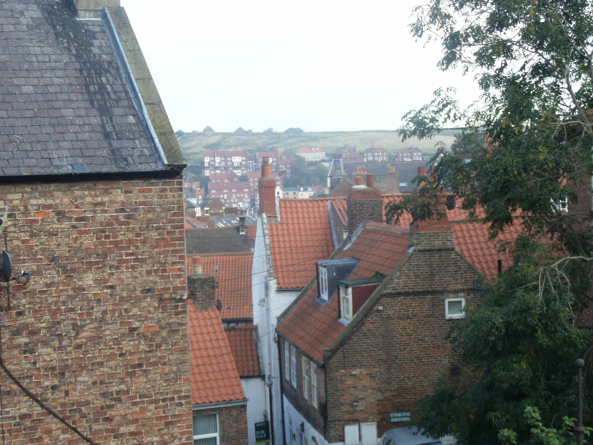 Broomfield House Whitby Eksteriør billede